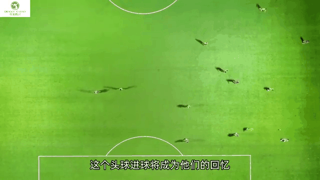 烈日裁决与曙光先锋在英雄联盟中上演巅峰对决，最终扳平比分，成为当日焦点