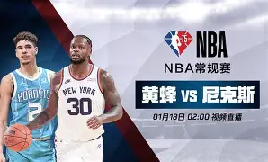 黄蜂4号秀克尼普尔荣膺夏联FMVP，如何展望他的未来？